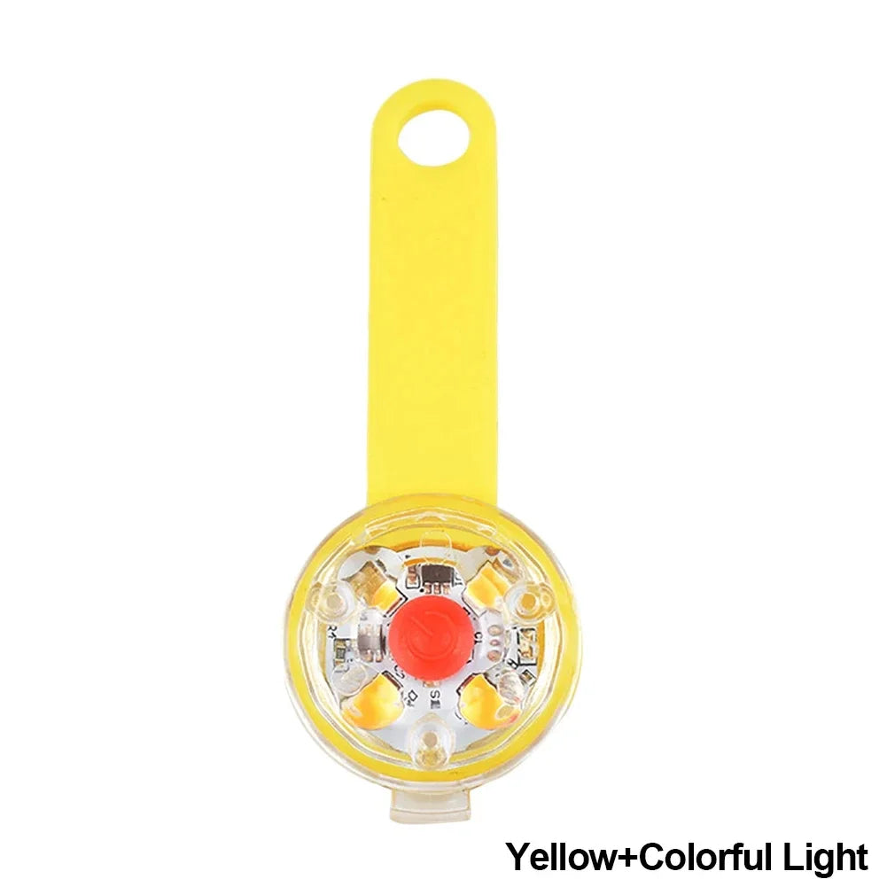 Collier lumineux pour chien et chat