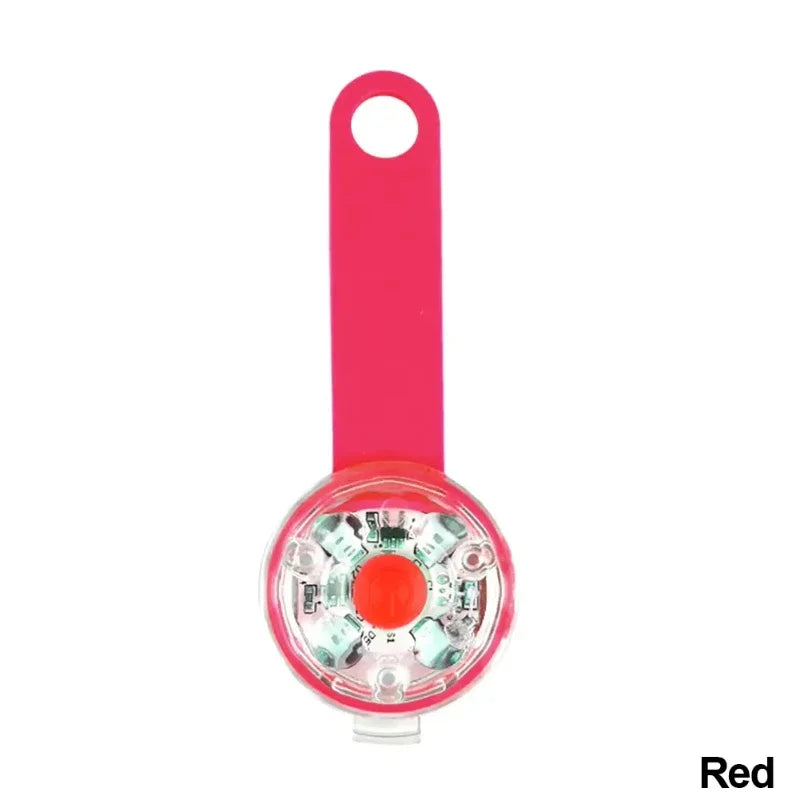 Collier lumineux pour chien et chat