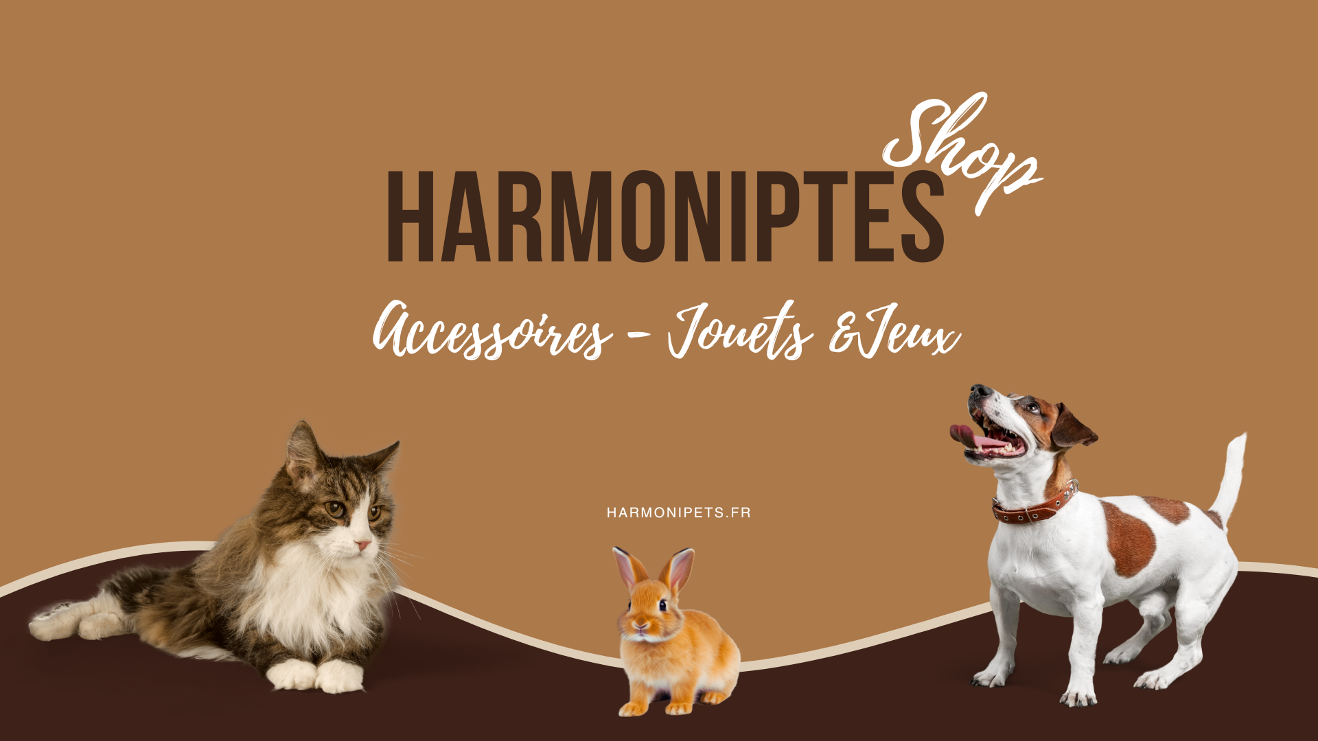 Charger la vidéo : 